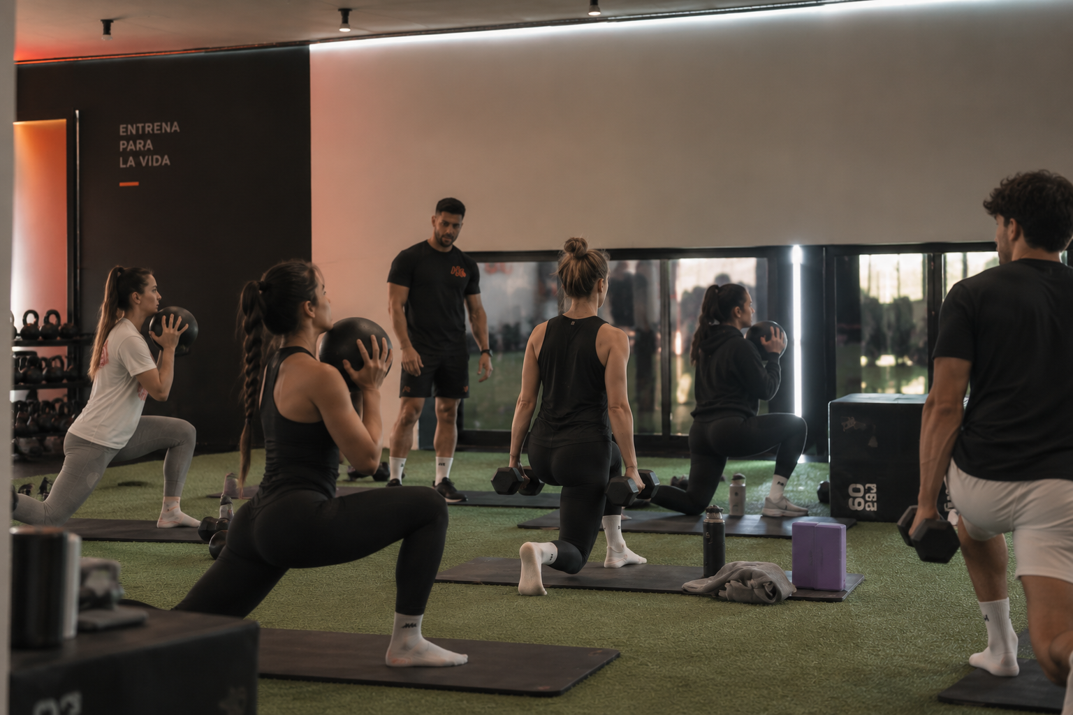 Entrenamiento de fuerza